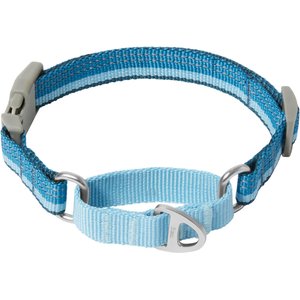 Frisco Hands-Free Running Martingale Dog Collar