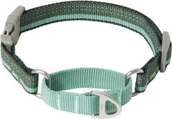 Frisco Hands-Free Running Martingale Dog Collar