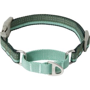 Frisco Hands-Free Running Martingale Dog Collar