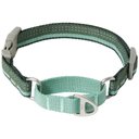 Frisco Hands-Free Running Martingale Dog Collar