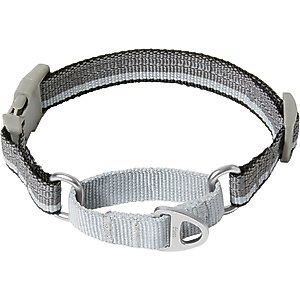 Frisco Hands-Free Running Martingale Dog Collar