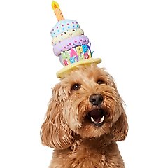 Frisco Happy Birthday Cupcake Dog & Cat Hat, Medium/Large