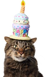 Frisco Happy Birthday Cupcake Dog & Cat Hat, X-Small/Small