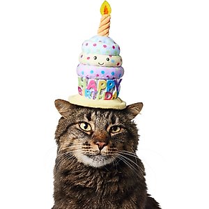 Frisco Happy Birthday Cupcake Dog & Cat Hat, X-Small/Small