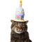 Show in main carousel: Frisco Happy Birthday Cupcake Dog & Cat Hat, X-Small/Small slide 1 of 8