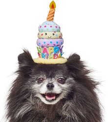 Frisco Happy Birthday Cupcake Dog & Cat Hat, X-Small/Small slide 2 of 7