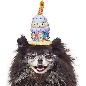 Frisco Happy Birthday Cupcake Dog & Cat Hat, X-Small/Small