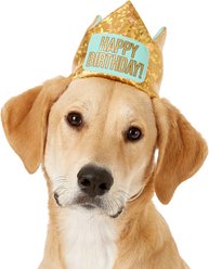 Frisco Happy Birthday Dog & Cat Crown, Medium/Large