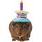 Show in main carousel: Frisco Happy Birthday Guinea Pig Hat, Multi Color slide 1 of 5