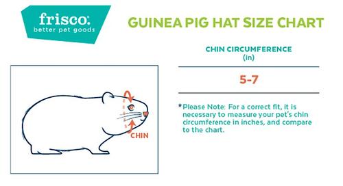 Show full view: Frisco Happy Birthday Guinea Pig Hat, Multi Color slide 2 of 5