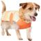 Show in main carousel: Frisco Hazy Sunrise UPF 45 Cooling Dog Vest, Large slide 1 of 9