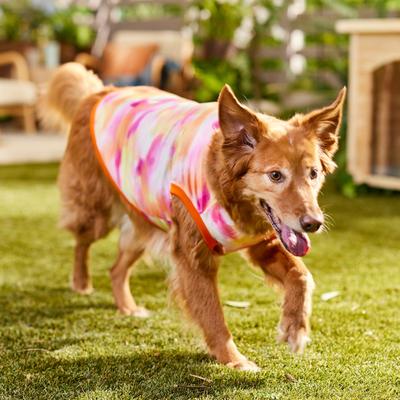 Show full view: Frisco Hazy Sunrise Watercolor Dog & Cat T-Shirt, Peach, XX-Large slide 6 of 9