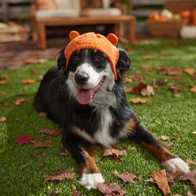 Show full view: Frisco Heart Ears Dog & Cat Knitted Hat, X-Large/XX-Large slide 4 of 7