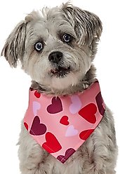 Frisco Valentine's Heart Print Dog & Cat Bandana, Medium/Large