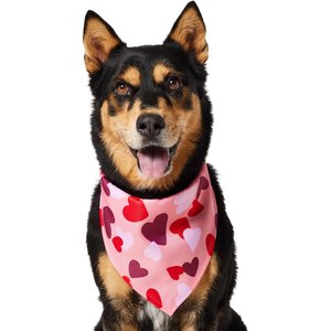 Frisco Valentine's Heart Print Dog & Cat Bandana, X-Large/XX-Large