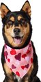 Frisco Valentine's Heart Print Dog & Cat Bandana, X-Large/XX-Large