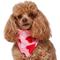 Show in main carousel: Frisco Valentine's Heart Print Dog & Cat Bandana, X-Small/Small slide 2 of 8