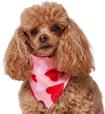 Show full view: Frisco Valentine's Heart Print Dog & Cat Bandana, X-Small/Small slide 2 of 8