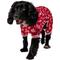 Show in main carousel: Frisco Valentine's Heart Print Dog & Cat Jersey PJs, Large slide 1 of 8