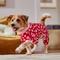 Show in main carousel: Frisco Valentine's Heart Print Dog & Cat Jersey PJs, Large slide 6 of 8