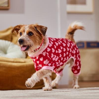 Show full view: Frisco Valentine's Heart Print Dog & Cat Jersey PJs, Large slide 6 of 8