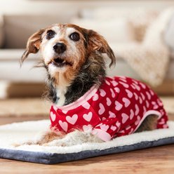 Frisco Heart Print Dog & Cat Jersey PJs, Medium slide 2 of 7