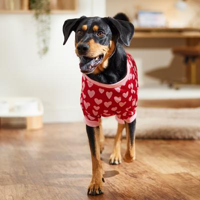Show full view: Frisco Valentine's Heart Print Dog & Cat Jersey PJs, X-Large slide 7 of 9