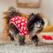 Show in main carousel: Frisco Valentine's Heart Print Dog & Cat Jersey PJs, X-Small slide 7 of 9