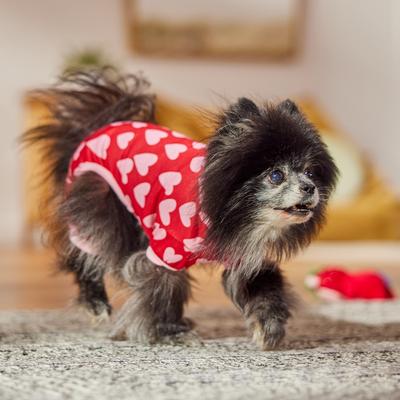 Show full view: Frisco Valentine's Heart Print Dog & Cat Jersey PJs, X-Small slide 7 of 9