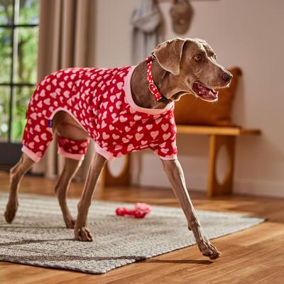 Show full view: Frisco Valentine's Heart Print Dog & Cat Jersey PJs, XX-Large slide 6 of 8