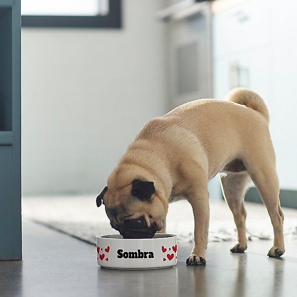 Show full view: Frisco Hearts Ceramic Personalized Dog Bowl, 2.75 cup slide 5 of 6
