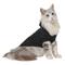 Show in main carousel: Frisco Heathered Chunky Dog & Cat Hooded Sweater, Black, Medium slide 3 of 9