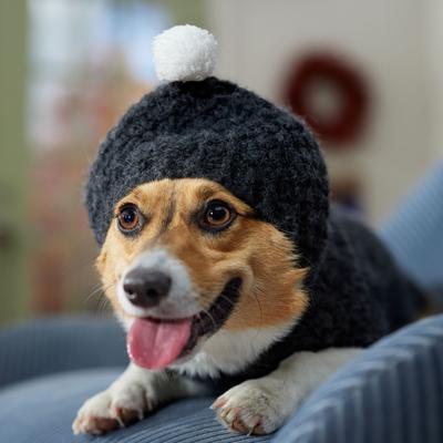 Show full view: Frisco Heathered Chunky Dog & Cat Hooded Sweater, Black, Medium slide 7 of 9