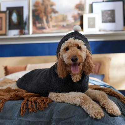Show full view: Frisco Heathered Chunky Dog & Cat Hooded Sweater, Black, XX-Large slide 6 of 8