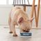 Show in main carousel: Frisco Heathered Personalized Dog & Cat Bowl, 8-oz slide 5 of 7