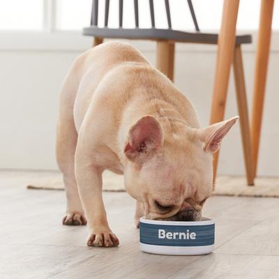 Show full view: Frisco Heathered Personalized Dog & Cat Bowl, 8-oz slide 5 of 7