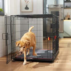 Frisco Heavy Duty Enhanced Lock Double Door Fold & Carry Wire Dog Crate & Mat Kit, Red, Large