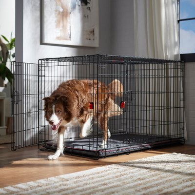 Frisco Frisco Heavy Duty Enhanced Lock Double Door Fold & Carry Wire Dog Crate & Mat Kit, Red, X-Large