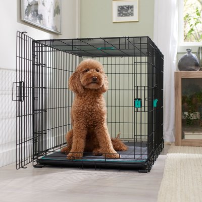Frisco Frisco Heavy Duty Enhanced Lock Double Door Fold & Carry Wire Dog Crate & Mat Kit, Teal, Large