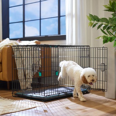 Frisco Frisco Heavy Duty Enhanced Lock Double Door Fold & Carry Wire Dog Crate & Mat Kit, Teal, Med/Large