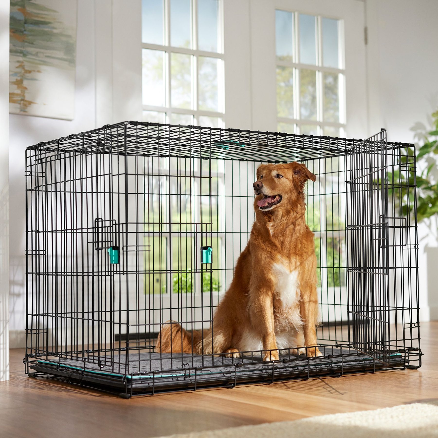 Frisco Heavy Duty Enhanced Lock Double Door Fold & Carry Wire Dog Crate & Mat Kit, Teal, X-Large