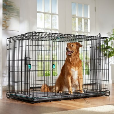 Frisco Frisco Heavy Duty Enhanced Lock Double Door Fold & Carry Wire Dog Crate & Mat Kit, Teal, X-Large