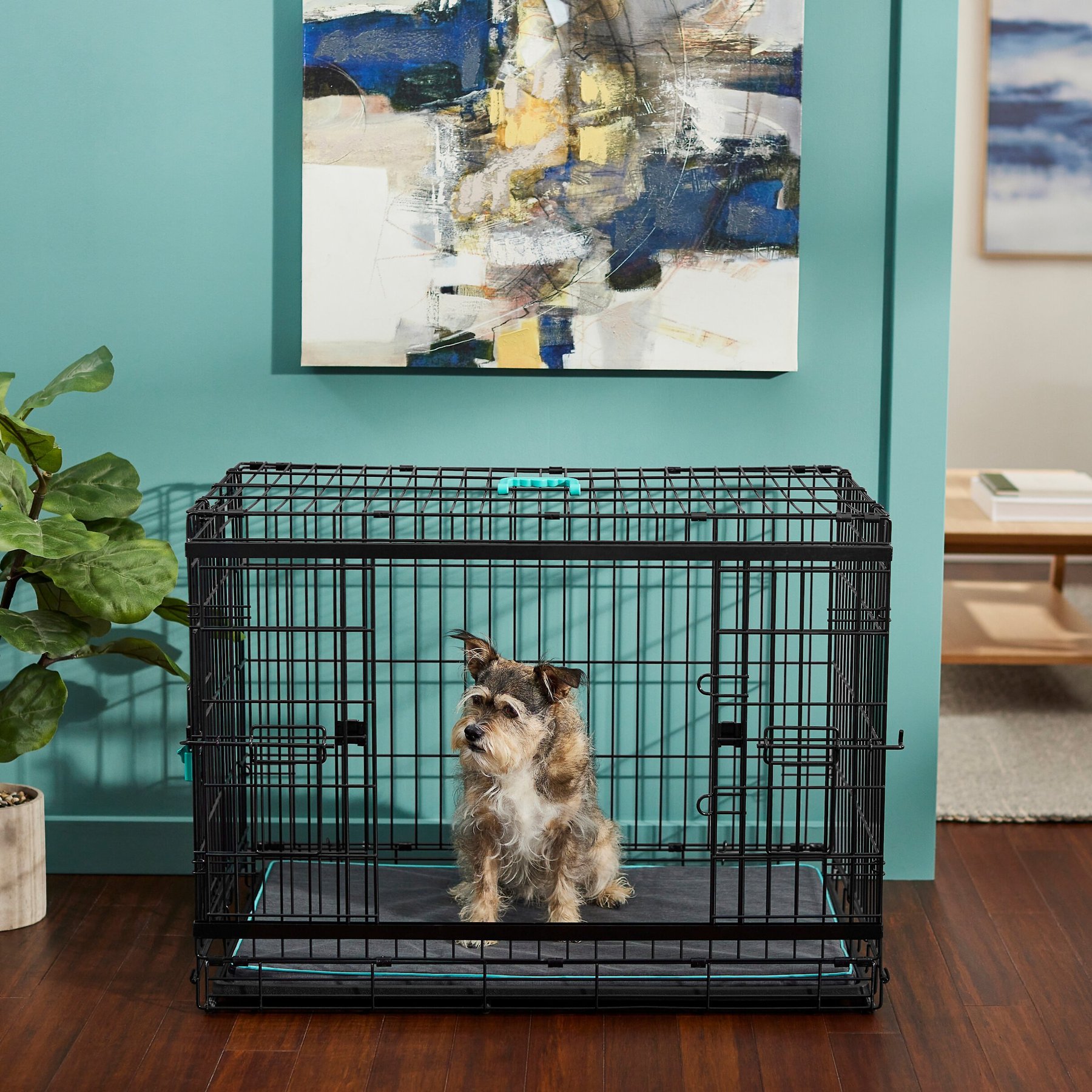 Frisco Heavy Duty Enhanced Lock Sliding Double Door Fold & Carry Wire Dog Crate & Mat Kit, Medium