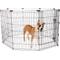 Show in main carousel: Frisco Heavy Duty Fold & Carry Double Door Collapsible Wire Dog Crate, 36 inch & Frisco Wire Dog Exercise Pen with Step-Through Door, Black, 36-in slide 5 of 6