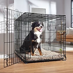 Frisco Heavy Duty Fold & Carry Double Door Collapsible Wire Dog Crate, Large