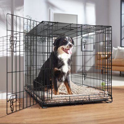 Frisco Frisco Heavy Duty Fold & Carry Double Door Collapsible Wire Dog Crate, Large