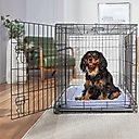 Frisco Heavy Duty Fold & Carry Double Door Collapsible Wire Dog Crate & Mat Kit, Med/Large