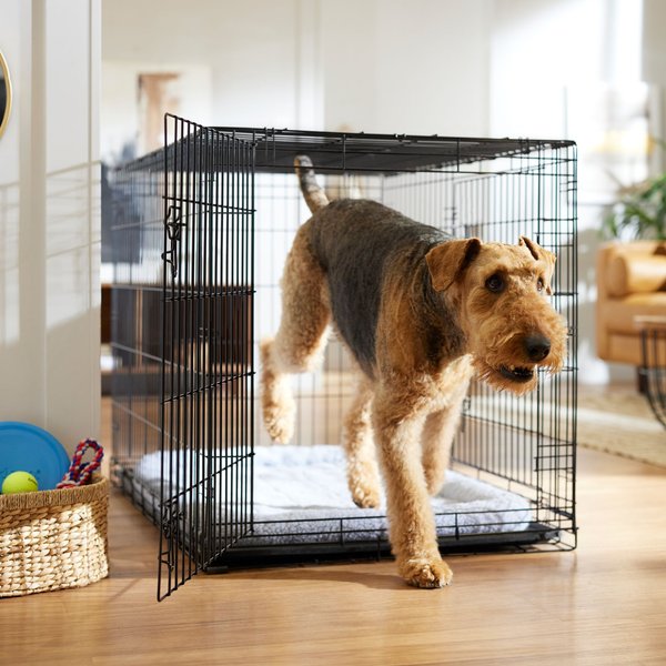 Show full view: Frisco Heavy Duty Fold & Carry Double Door Collapsible Wire Dog Crate, X-Large slide 1 of 10