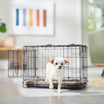 Frisco Heavy Duty Fold & Carry Double Door Collapsible Wire Dog Crate
