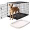 Show in main carousel: Frisco Heavy Duty Fold & Carry Single Door Collapsible Wire Dog Crate, 42 inch & Frisco Quilted Dog Crate Mat, Ivory, 42-in slide 1 of 6